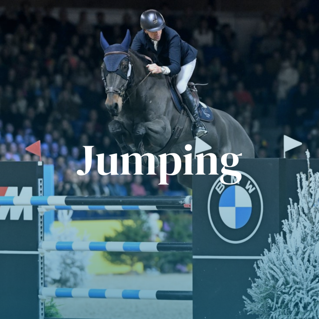 Jumping Jumping Mechelen